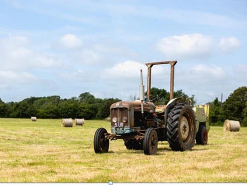 Bed and Breakfast Trustans Barn Darsham Esterno foto
